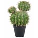 Beliani Planta artificial BALL CACTUS Verde