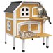 Caseta para Gatos Madera de Abeto PawHut Amarillo