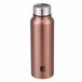 Botella de agua WALKING ANYWHERE 750ml marca Bergner  Rosa