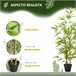 Bambús Artificiales PE, PP Outsunny, hogar - decoración Verde