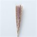 Ramillete floral PAMPA natural 85cm marca BOLTZE  Natural