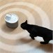 Fuente para Gatos Recargable con Sensor Blanco