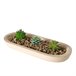 Planta artificial SUKULA marca BOLTZE Multicolor