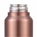 Botella de agua WALKING ANYWHERE 750ml marca Bergner  Rosa