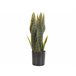 Beliani Planta artificial SNAKE PLANT Verde