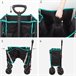 Aktive Carro plegable playa con ruedas todoterreno Negro