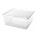 Caja ORDENACIÓN plástico 