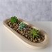 Planta artificial SUKULA marca BOLTZE Multicolor