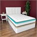 Colchón Viscoelástico Bio Max [Obsequio Almohada/s] 