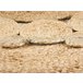 Beliani Alfombra de pelo corto GOLGEN Beige