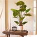 Planta artificial LICUALA marca EVERLANDS FLOWERS AND PLANTS Verde