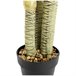 Acomoda Textil – Planta Artificial con Macetero. (Dracena) Verde