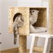 Árbol para Gatos Aglomerado de Madera, Totora, Poliéster PawHut Marron