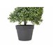 Beliani Planta artificial BUXUS SPIRAL TREE Verde