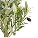 Acomoda Textil – Planta Artificial con Macetero Elegante. (Olivo) Verde