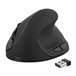 Ratón Ergonómico Óptico Ergo Line Negro