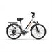 Bicicleta Eléctrica URLIFE E26 - Neumáticos 26 Frenos de Disco Blanco