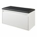 Banco zapatero Degerfors con cajón [en.casa] 39 Blanco/ Negro