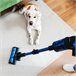 Aspirador Escoba Rockstar 8500 Infinity ErgoWet Animal Turbo T Gris
